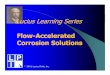 Flow Accelerated Corrosion (FAC)