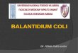 Parasitologia.practica 7 (Balantidium Coli)