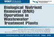 138782070 Biological Nutrient Removal BNR Operation in Wastewater Treatment Plants