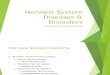 Nervous System Diseases and Disorders
