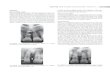 Oral Radiology- Principles and Interpretation - Mosby; 6 edition (September 25, 2008).pdf