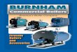 Firetube Boilers and Accessories Catalog