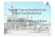 Natural Gas as Feedstock in Towngas Production