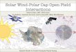 The Solar Wind-Polar Cap Interaction