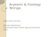 Anatomi & Fisiologi Telinga Adit