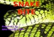 Snake Bite Lecture
