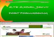 Port Forwarding ZTE ZXDSL 931VII GR Version 1.1