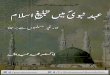 Khutbat e Bahawalpur Khutba No.12 Ehad Nabwi Mein Tabligh e Islam Aur Ghair Muslim Sy Bartao