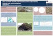 Poster: Structural and tectonic history of the Lower Carboniferous, Scremerston, Northumberland
