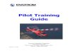 Enstrom 480B Pilot Training Manual