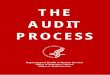 Audit Process - How To