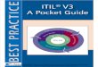 ITILv3 Foundation (Pocket Guide)