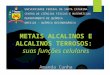 Metais Alcalinos e Alcalinos Terrosos: suas funções nas células