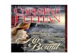 Christine Feehan - Serie Hermanas Del Corazon 3 - Aire Encadenado