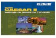 CAESAR II Brochure - Spanish
