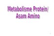 Metabolisme Protein-Asam Amino UNI 2012