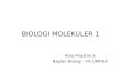 Presentasi Biomol Blok 3 Per 2010 Rev