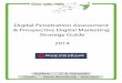 Bank Windhoek - Digital Penetration Assessment & Prospective Digital Marketing Strategy