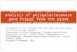 site directed mutagenesis a paper1.ppt