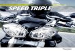 2011 Speed Triple 1050