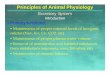 11 Animal Physiology - Excretory Systems