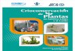 Crioconservación de Plantas en AL y El Caribe. 2013