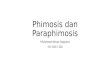 Phimosis Dan Paraphimosis