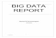 Big Data Project Report