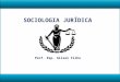 Escolas Jurídicas-Escolas Moralistas