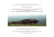 Simien mountains national park  Alternative Livelihoods Project Document[1]