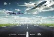 Flightpath to Aviation Biofuels in Brazil Action Plan