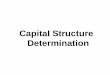 Capital Structure.pdf