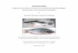 Fisheries Development Strategies, Nyombi and Bolwig 04