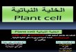 الخلية النباتية
