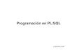 Programacion en PL_SQL