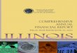 Illinois Comprehensive Annual Financial Report FY 2013