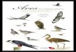 guia de aves atlánticas de España