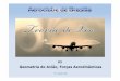 PPTVA03 - Geometria Do Aviao Forcas Aerodinamicas