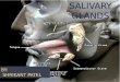 Shrikant - Salivary Gland