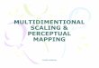 4 Multidimentional Scaling & Perceptual Mapping_18