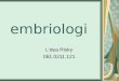 embriologi (2)