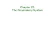 Respiratory System- Anatomy & Physiology
