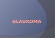 PPT glaukoma