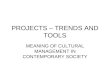 M. Sesic PROJECTS – TRENDS AND TOOLS