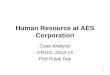 Case AES Corporation