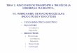 Tema 3.7. Endocitosis y Exocitosis