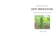 Irrigation Operation Guide 1ha Papaya -19Apr08