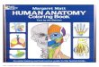 [] Anatomy Coloring Book( )