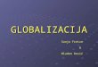 Globalizacija Seminar