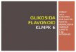 Glikosida flavonoid